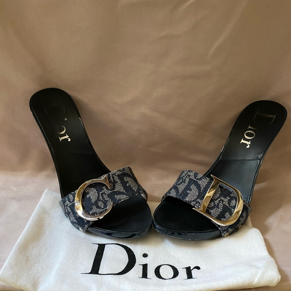 Dior 4in Pumps